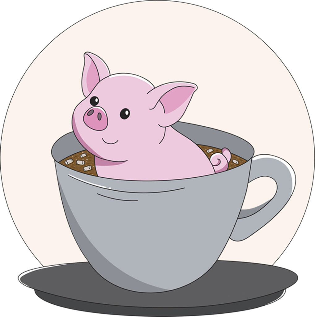 Project 2 piggy